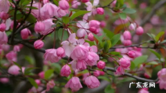 四月季节有什么特点,4月份是春天还是夏天