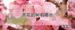 开花的树有哪些,春天开花的树有哪些