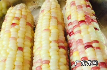 玉米蒸多久能蒸熟,生玉米要蒸多久才好吃