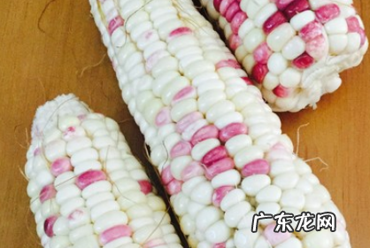 玉米蒸多久能蒸熟,生玉米要蒸多久才好吃