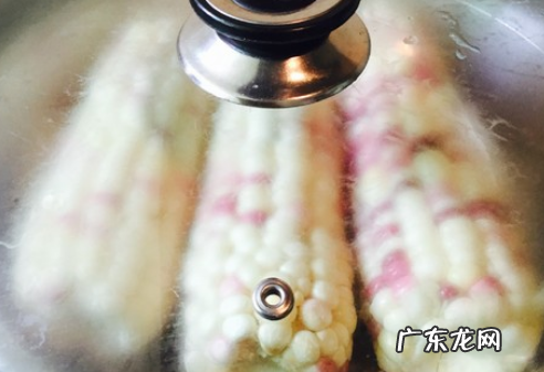 玉米蒸多久能蒸熟,生玉米要蒸多久才好吃
