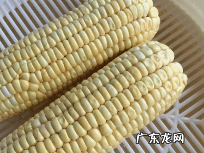玉米蒸多久能蒸熟,生玉米要蒸多久才好吃