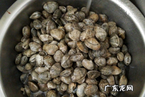死了的花甲还能吐沙,死花甲能吐沙