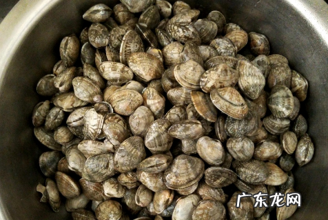 死了的花甲还能吐沙,死花甲能吐沙