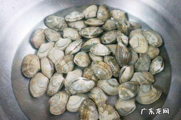 死了的花甲还能吐沙,死花甲能吐沙
