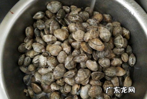 死了的花甲还能吐沙,死花甲能吐沙