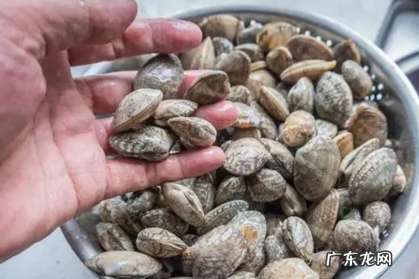 死了的花甲还能吐沙,死花甲能吐沙