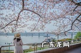 怀孕期间被公司辞退了该怎么办,怀孕期间被公司辞退怎么赔偿