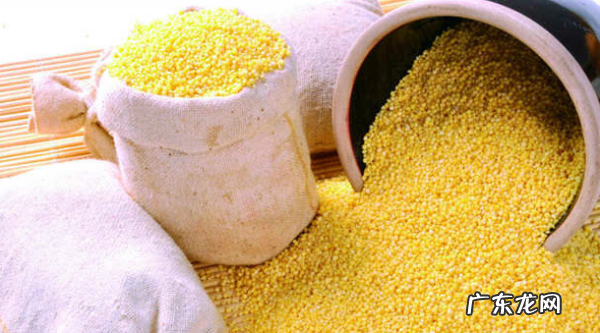 谷米是什么食物,湖北早谷米是什么米