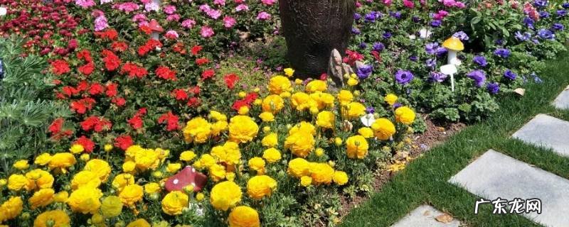 徐汇区景点 徐汇区景点排名