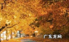 关于世界风景的句子,关于风景的唯美的句子有哪些短句