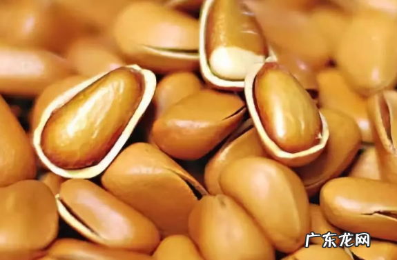 松子生的可以吃,松子仁生吃好还是熟吃好