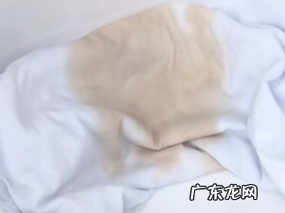 咖啡洒在了白衣服上怎么办,白色衣服染了咖啡怎么洗掉