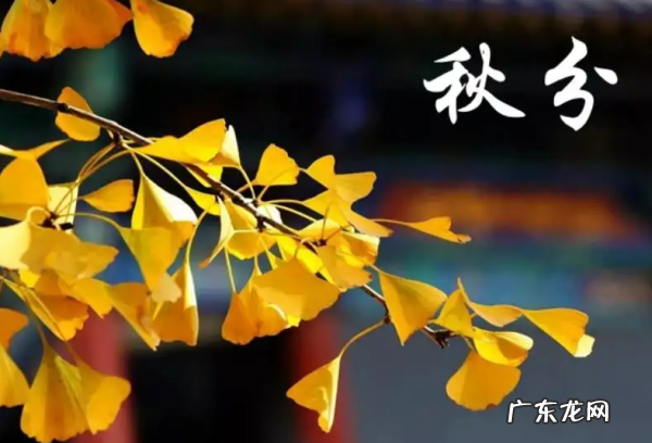 秋分应该注意些什么,秋分养生要注意什么