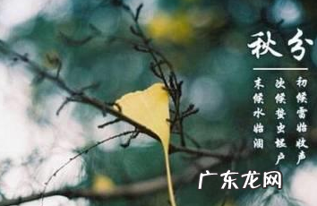 秋分应该注意些什么,秋分养生要注意什么