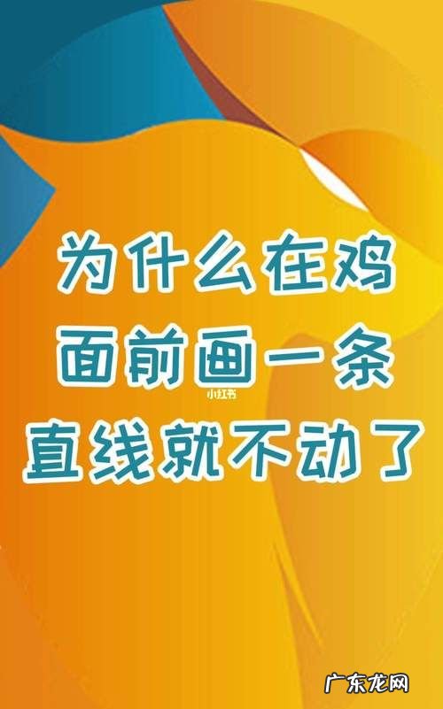为什么在鸡的面前画一条直线,在公鸡面前画一根线是什么原理