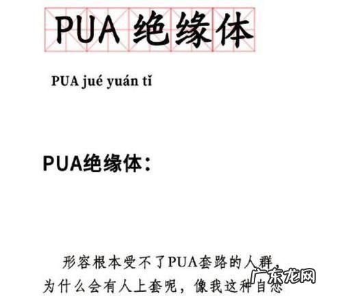pua什么意思嘛,pua是什么意思