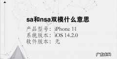 SA和NSA什么意思,NSA和SA有什么区别