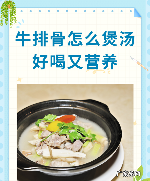 牛排骨和什么煲汤最好,牛排骨汤要放什么食物一起煲汤最好喝