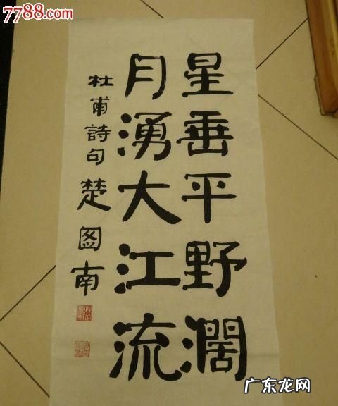 什么垂平野阔什么涌大江流,山高云低树水阔月近人