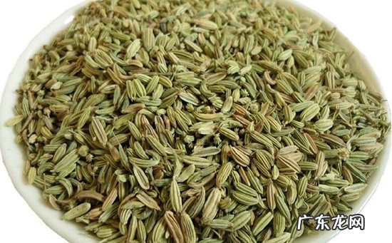 茴香怎么种植方法,茴香是种常见的调味蔬菜