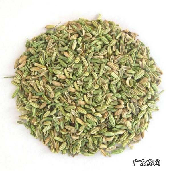 茴香怎么种植方法,茴香是种常见的调味蔬菜