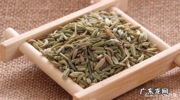 茴香怎么种植方法,茴香是种常见的调味蔬菜