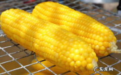 玉米是主食类,玉米是主食类