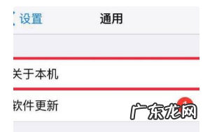 怎么看是不是国行,苹果手机怎么看是不是国行的
