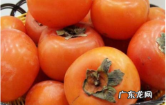 柿子皮为什么不可以吃,柿子皮为啥不能吃