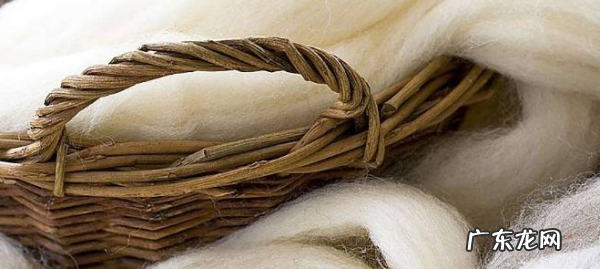 绵羊毛会缩水,绵羊毛会缩水