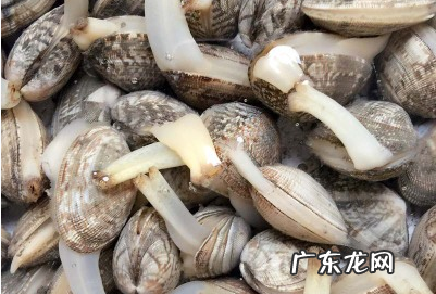 花甲死了多久不能吃,花甲死了还能吃不