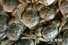 螃蟹收到货怎么保存,快递收到的螃蟹怎么保存
