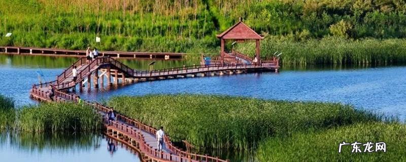 寒亭区景点 寒亭好玩的景点