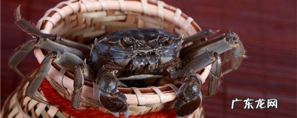 螃蟹会被淹死么,螃蟹会被淹死不