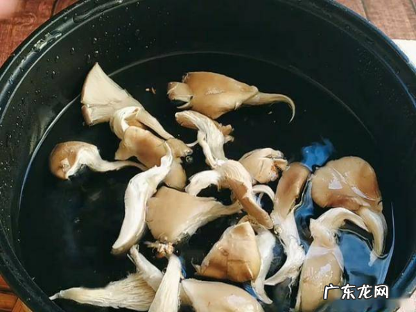 炒蘑菇需要用热水烫一下,蘑菇炒之前需要开水焯多久