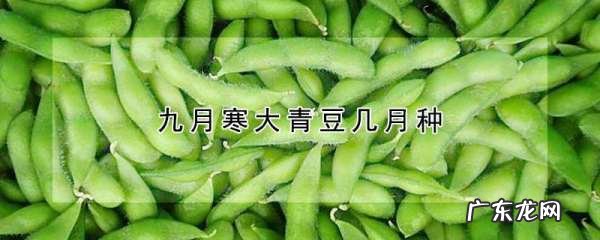 青豆什么时候施肥,大青豆什么时候种植最好
