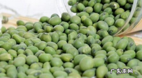 青豆什么时候施肥,大青豆什么时候种植最好