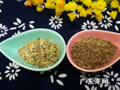 小茴香和孜然的区别,孜然和小茴香的区别是什么