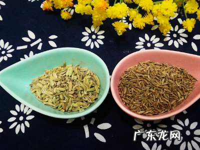 小茴香和孜然的区别,孜然和小茴香的区别是什么