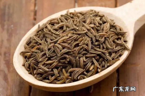 小茴香和孜然的区别,孜然和小茴香的区别是什么