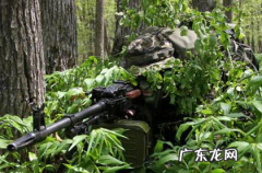 隐藏和隐蔽的区别是什么,隐讳和隐瞒的区别是什么