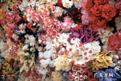 花团锦簇属于哪个季节,花团锦簇是什么季节的词语
