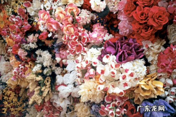花团锦簇属于哪个季节,花团锦簇是什么季节的词语