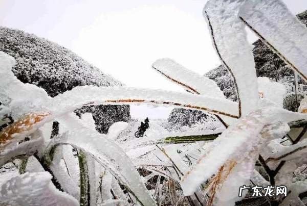 花团锦簇属于哪个季节,花团锦簇是什么季节的词语