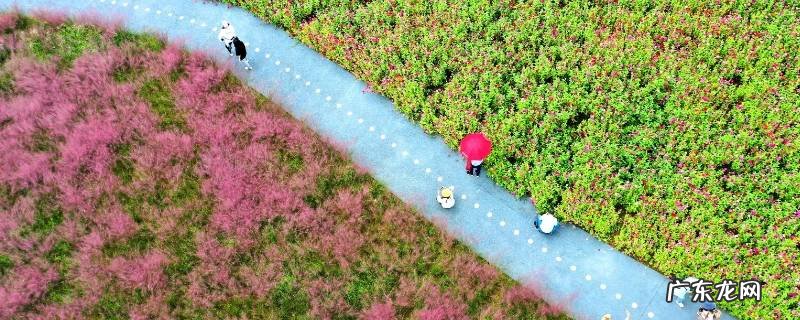 仁寿县景点有哪些地方 仁寿县景点
