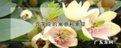 含笑花的含义是什么,含笑花的寓意和象征