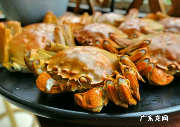 大闸蟹能不能冷冻起来保存,大闸蟹能不能冷冻起来保存