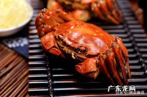 大闸蟹能不能冷冻起来保存,大闸蟹能不能冷冻起来保存