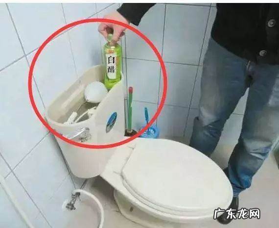 马桶边上的黄垢怎么处理,马桶发黄怎么办怎么擦都不掉跟镶嵌上面了一样